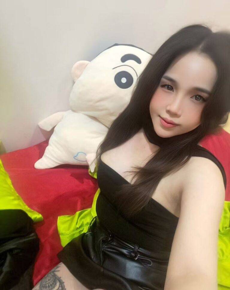 Shy Companion - CHERAS